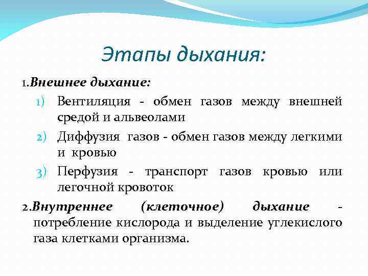 Этапы дыхания: 1. Внешнее дыхание: 1) Вентиляция - обмен газов между внешней средой и