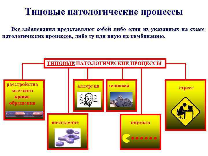 Типовые патологические процессы Все заболевания представляют собой либо один из указанных на схеме патологических