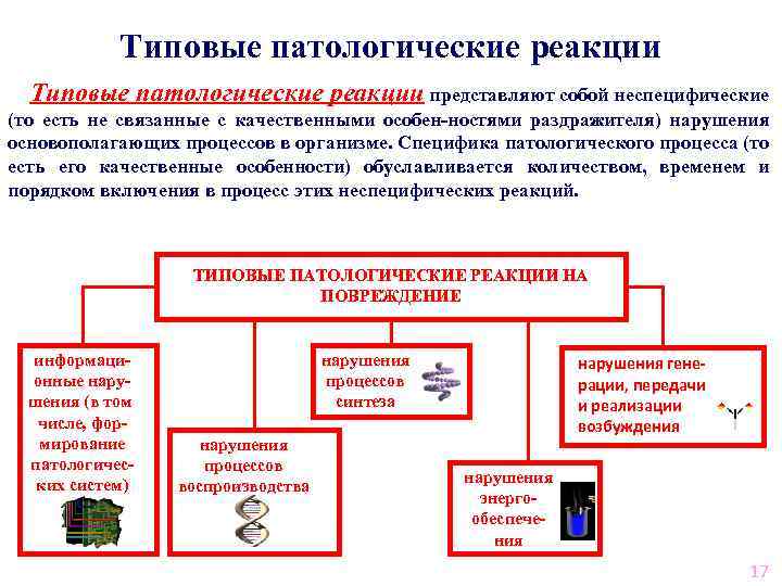 Типовые патологические реакции представляют собой неспецифические (то есть не связанные с качественными особен-ностями раздражителя)