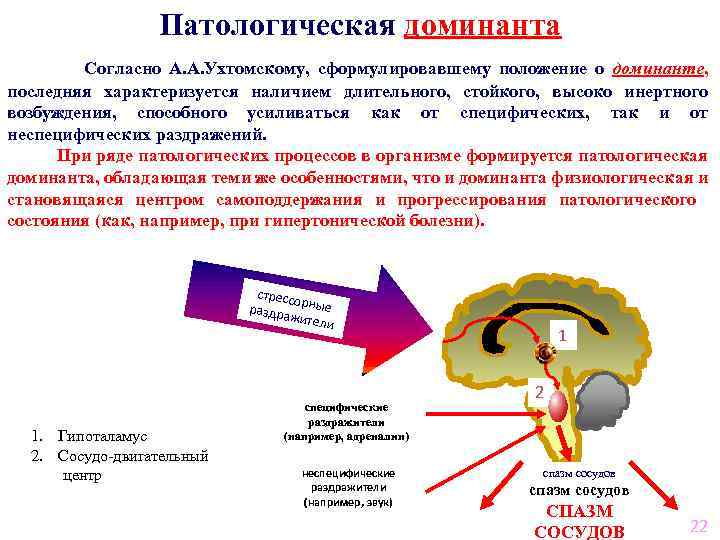 Патологическая доминанта Согласно А. А. Ухтомскому, сформулировавшему положение о доминанте, последняя характеризуется наличием длительного,