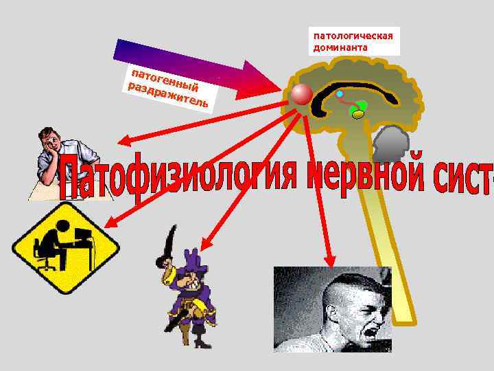 патологическая доминанта пато г разд енный раж ител ь 