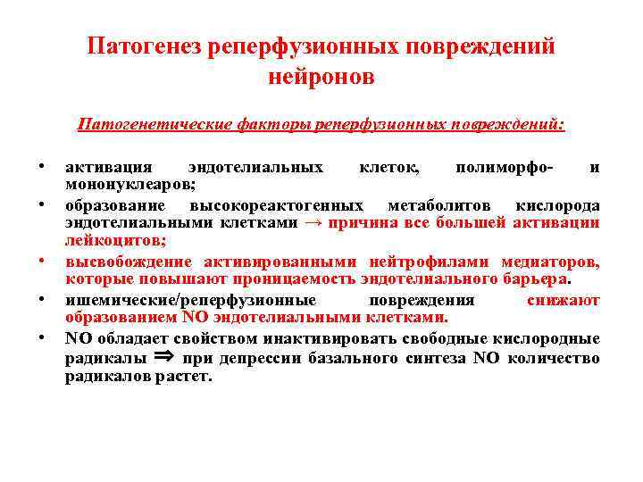 Патогенез реперфузионных повреждений нейронов Патогенетические факторы реперфузионных повреждений: • • • активация эндотелиальных клеток,
