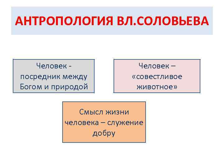 АНТРОПОЛОГИЯ ВЛ. СОЛОВЬЕВА Человек посредник между Богом и природой Человек – «совестливое животное» Смысл