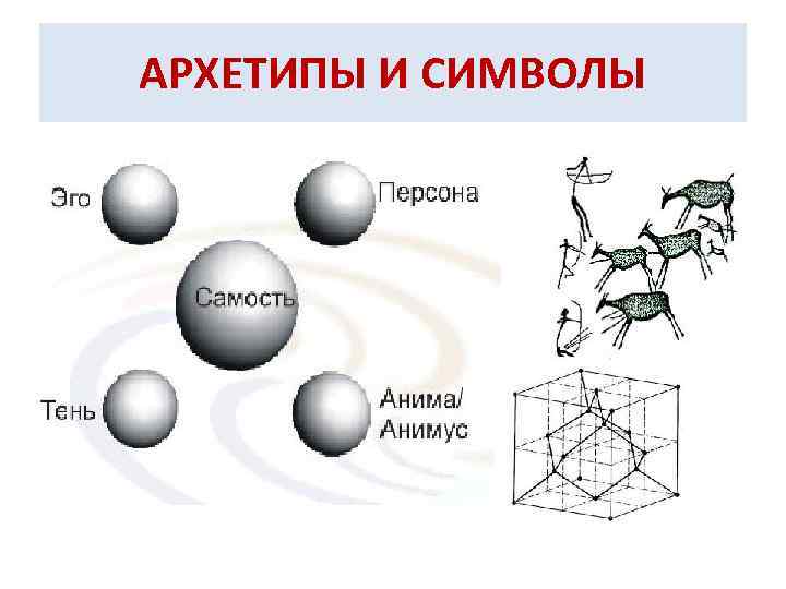 Анима и анимус презентация