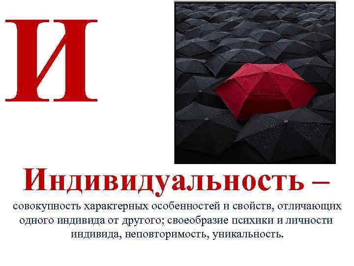 И Индивидуальность – совокупность характерных особенностей и свойств, отличающих одного индивида от другого; своеобразие