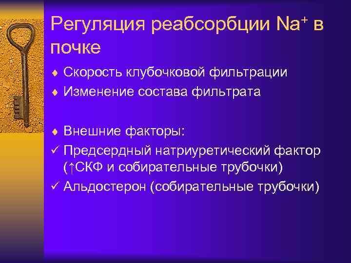 Регуляция реабсорбции Na+ в почке ¨ Скорость клубочковой фильтрации ¨ Изменение состава фильтрата ¨