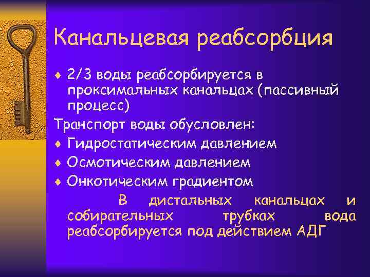 Канальцевая реабсорбция ¨ 2/3 воды реабсорбируется в проксимальных канальцах (пассивный процесс) Транспорт воды обусловлен: