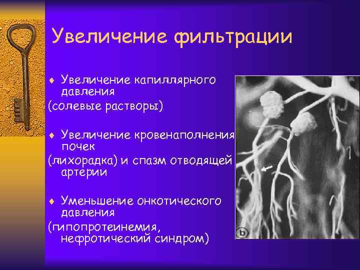 Увеличение фильтрации ¨ Увеличение капиллярного давления (солевые растворы) ¨ Увеличение кровенаполнения почек (лихорадка) и