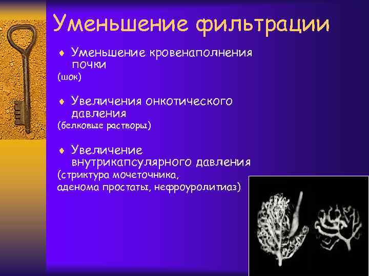 Уменьшение фильтрации ¨ Уменьшение кровенаполнения почки (шок) ¨ Увеличения онкотического давления (белковые растворы) ¨