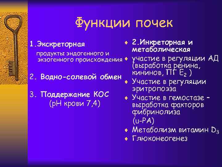 Функции почек 1. Экскреторная ¨ 2. Инкреторная и продукты эндогенного и экзогенного происхождения ¨