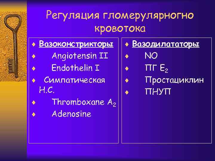 Регуляция гломерулярногно кровотока ¨ Вазоконстрикторы ¨ Вазодилататоры Angiotensin II ¨ Endothelin I ¨ Симпатическая