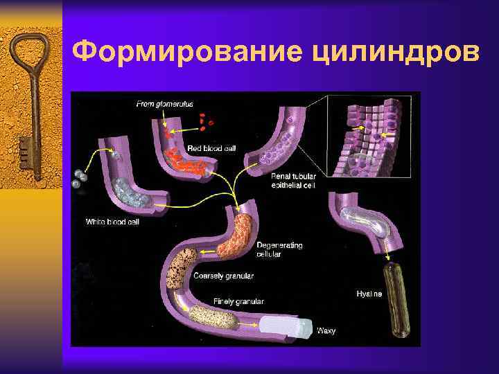 Формирование цилиндров 