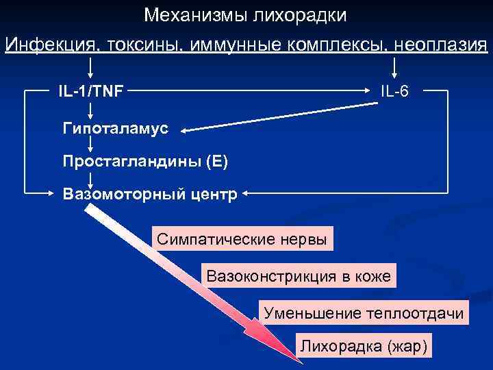 Схема патогенеза лихорадки