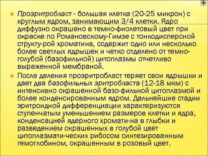 © П. Ф. Литвицкий, 2004 © ГЭОТАР-МЕД, 2004 Проэритробласт - большая клетка (20 -25
