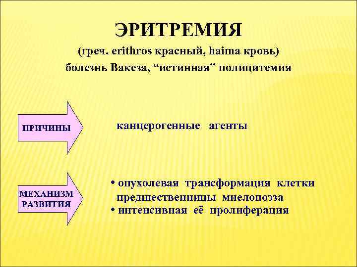 Эритремия. Эритремия этиология. Эритремия патогенез. Эритремия этиология патогенез. Эритремия Вакеза патогенез.