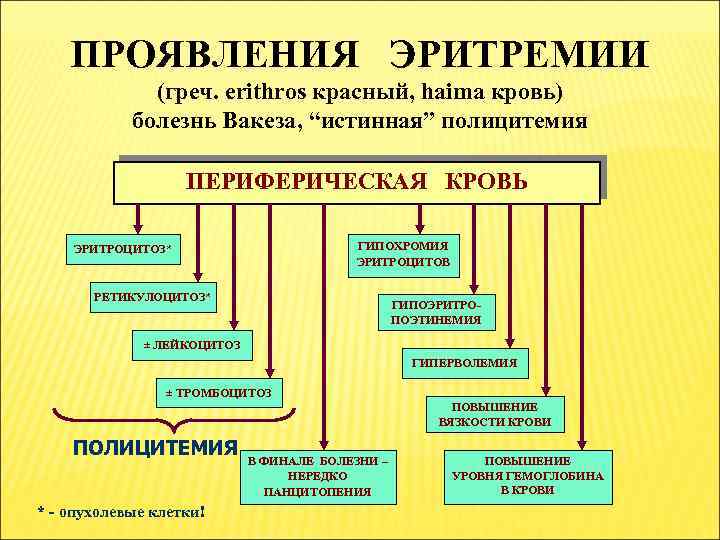 ПРОЯВЛЕНИЯ ЭРИТРЕМИИ (греч. erithros красный, haima кровь) болезнь Вакеза, “истинная” полицитемия ПЕРИФЕРИЧЕСКАЯ КРОВЬ ГИПОХРОМИЯ
