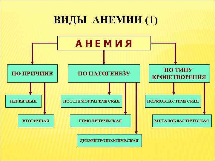 Анемия виды