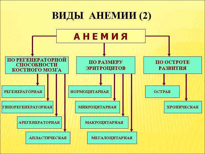 ВИДЫ АНЕМИИ (2) АНЕМИЯ ПО РЕГЕНЕРАТОРНОЙ СПОСОБНОСТИ КОСТНОГО МОЗГА РЕГЕНЕРАТОРНАЯ ГИПОРЕГЕНЕРАТОРНАЯ АПЛАСТИЧЕСКАЯ ПО РАЗМЕРУ