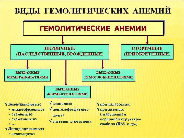 ВИДЫ ГЕМОЛИТИЧЕСКИХ АНЕМИЙ ГЕМОЛИТИЧЕСКИЕ АНЕМИИ ПЕРВИЧНЫЕ (НАСЛЕДСТВЕННЫЕ, ВРОЖДЕННЫЕ) ВЫЗВАННЫЕ МЕМБРАНОПАТИЯМИ ВТОРИЧНЫЕ (ПРИОБРЕТЕННЫЕ) ВЫЗВАННЫЕ ГЕМОГЛОБИНОПАТИЯМИ
