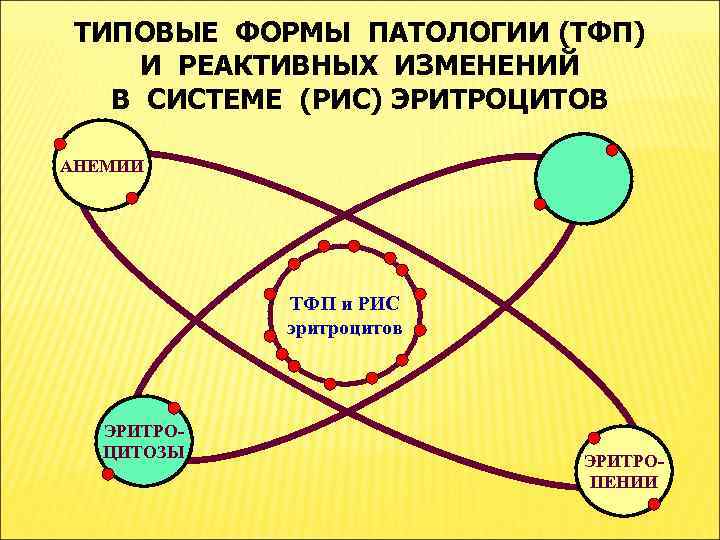 ТИПОВЫЕ ФОРМЫ ПАТОЛОГИИ (ТФП) И РЕАКТИВНЫХ ИЗМЕНЕНИЙ В СИСТЕМЕ (РИС) ЭРИТРОЦИТОВ АНЕМИИ ТФП и