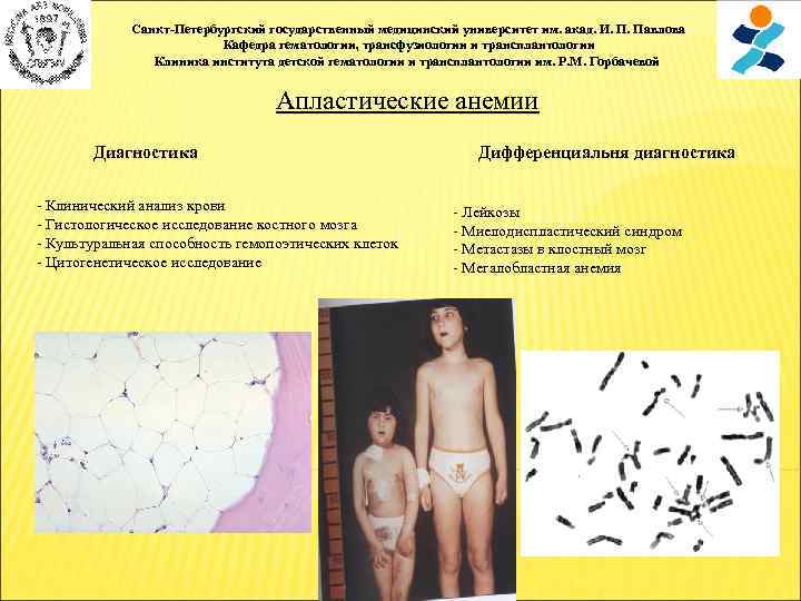 Санкт-Петербургский государственный медицинский университет им. акад. И. П. Павлова Кафедра гематологии, трансфузиологии и трансплантологии