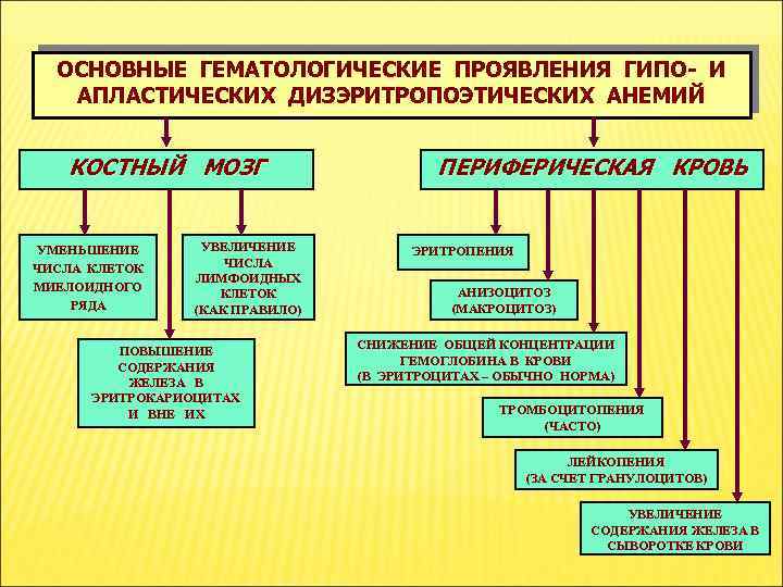 ОСНОВНЫЕ ГЕМАТОЛОГИЧЕСКИЕ ПРОЯВЛЕНИЯ ГИПО- И АПЛАСТИЧЕСКИХ ДИЗЭРИТРОПОЭТИЧЕСКИХ АНЕМИЙ КОСТНЫЙ МОЗГ УМЕНЬШЕНИЕ ЧИСЛА КЛЕТОК МИЕЛОИДНОГО