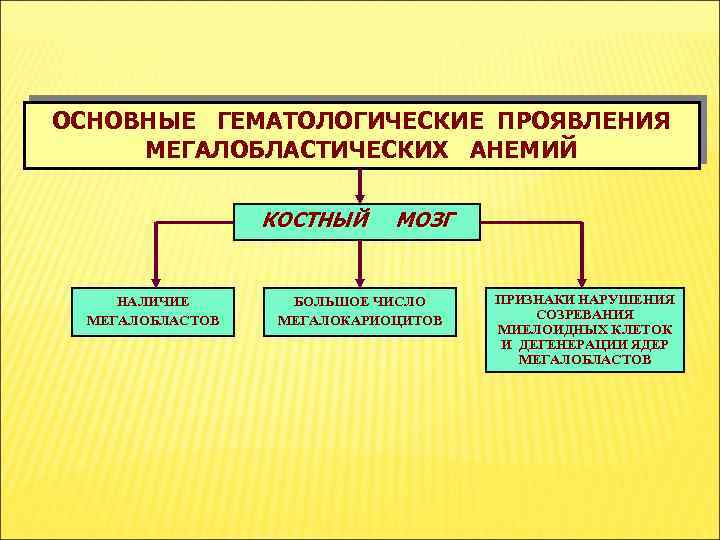 ОСНОВНЫЕ ГЕМАТОЛОГИЧЕСКИЕ ПРОЯВЛЕНИЯ МЕГАЛОБЛАСТИЧЕСКИХ АНЕМИЙ КОСТНЫЙ НАЛИЧИЕ МЕГАЛОБЛАСТОВ МОЗГ БОЛЬШОЕ ЧИСЛО МЕГАЛОКАРИОЦИТОВ ПРИЗНАКИ НАРУШЕНИЯ