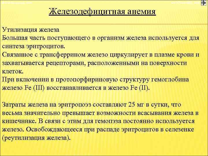 © П. Ф. Литвицкий, 2004 © ГЭОТАР-МЕД, 2004 Железодефицитная анемия Утилизация железа Большая часть