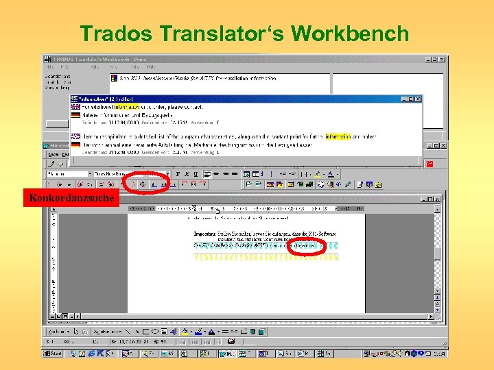Trados Translator‘s Workbench Konkordanzsuche 