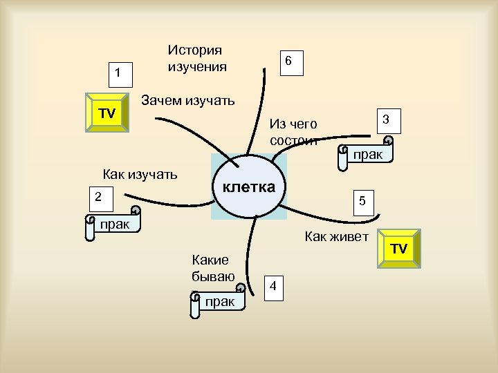 1 TV История изучения 6 Зачем изучать Из чего состоит 3 прак Как изучать