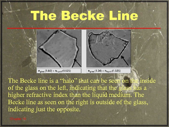 The Becke Line The Becke line is a “halo” that can be seen on