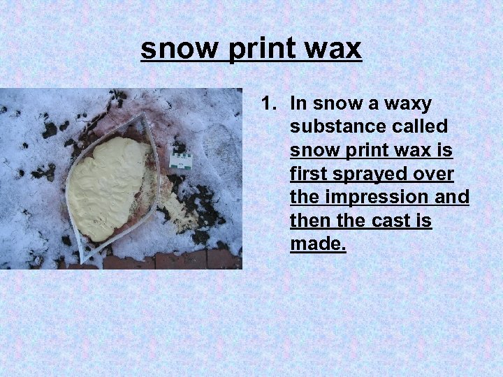 snow print wax 1. In snow a waxy substance called snow print wax is