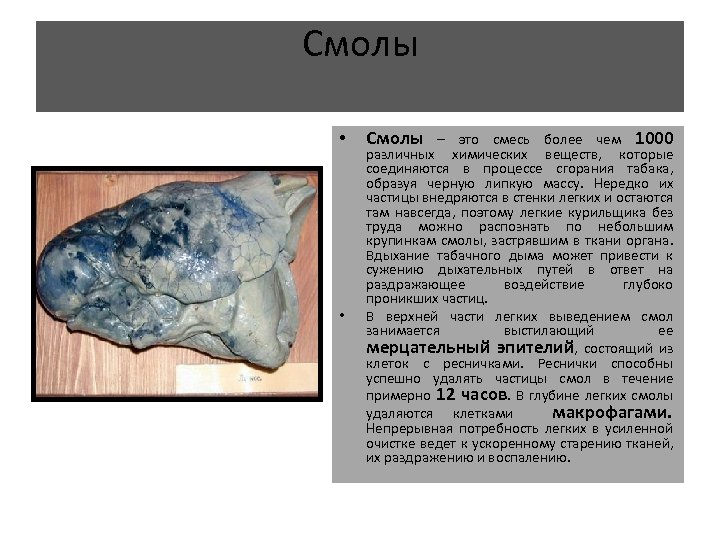 Смолы • • Смолы – это смесь более чем 1000 различных химических веществ, которые