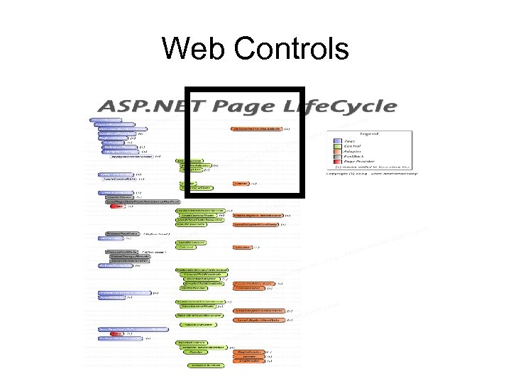 Web Controls 