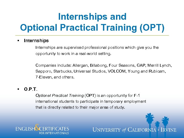 Internships and Optional Practical Training (OPT) § Internships are supervised professional positions which give