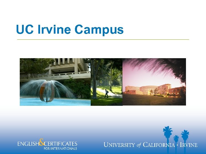 UC Irvine Campus 