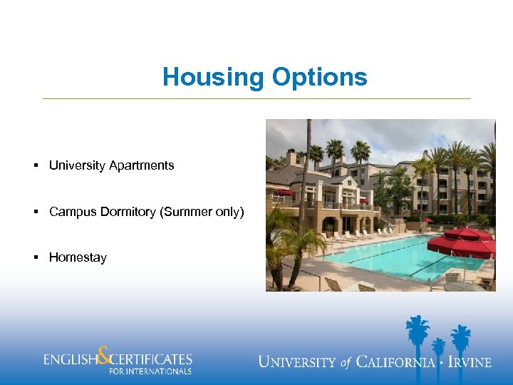 Housing Options § University Apartments § Campus Dormitory (Summer only) § Homestay 