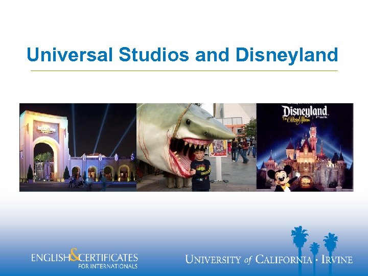 Universal Studios and Disneyland 