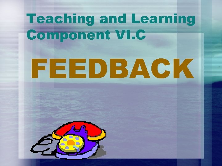 Teaching and Learning Component VI. C FEEDBACK 
