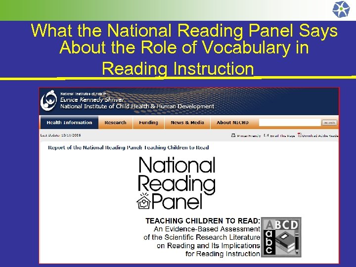What the National Reading Panel Says About the Role of Vocabulary in Reading Instruction