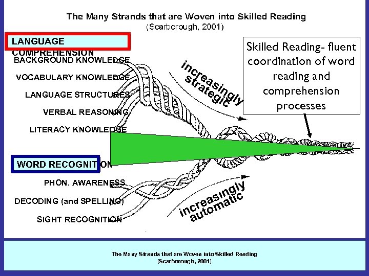 LANGUAGE COMPREHENSION BACKGROUND KNOWLEDGE VOCABULARY KNOWLEDGE LANGUAGE STRUCTURES VERBAL REASONING Skilled Reading- fluent coordination