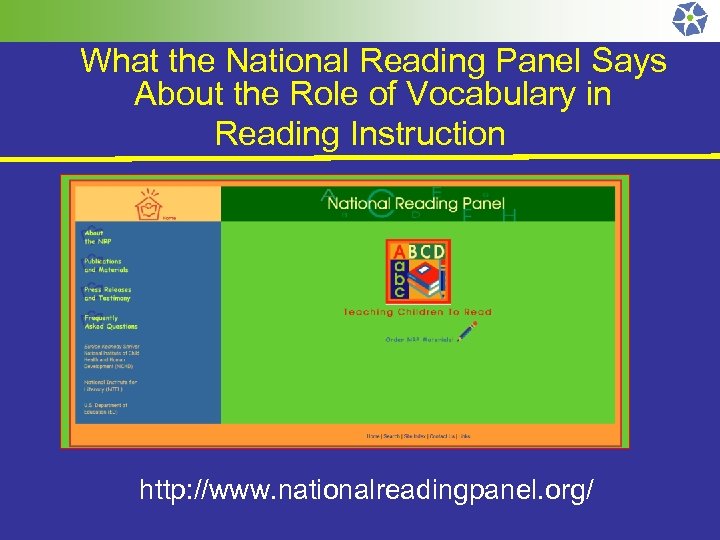 What the National Reading Panel Says About the Role of Vocabulary in Reading Instruction