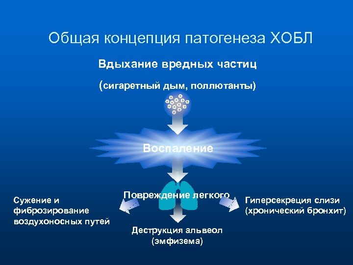 Общая концепция патогенеза ХОБЛ Вдыхание вредных частиц (сигаретный дым, поллютанты) Воспаление Сужение и фиброзирование