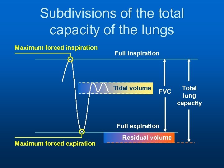 Subdivisions of the total capacity of the lungs Maximum forced inspiration Full inspiration Tidal