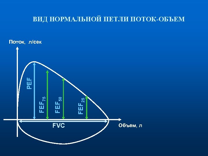 ВИД НОРМАЛЬНОЙ ПЕТЛИ ПОТОК-ОБЪЕМ FVC FEF 25 FEF 50 FEF 75 PEF Поток, л/сек