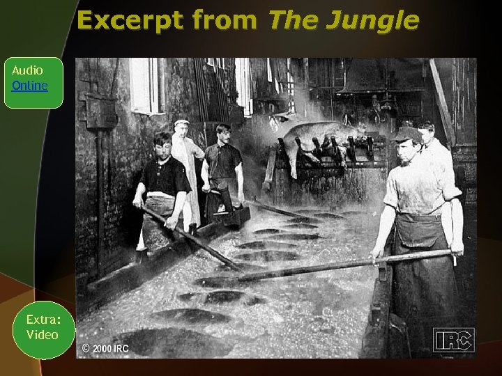 Excerpt from The Jungle Audio Online Extra: Video 