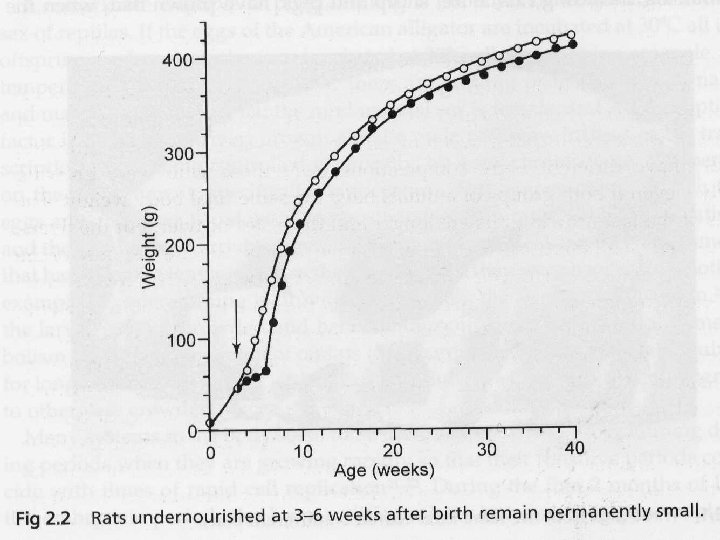 Center for Healthier Children, Families & Communities 