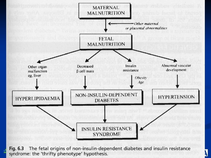 Center for Healthier Children, Families & Communities 