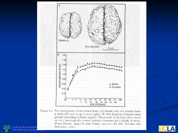 Center for Healthier Children, Families & Communities 