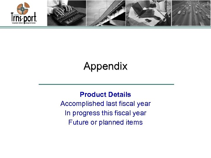 Appendix Product Details Accomplished last fiscal year In progress this fiscal year Future or